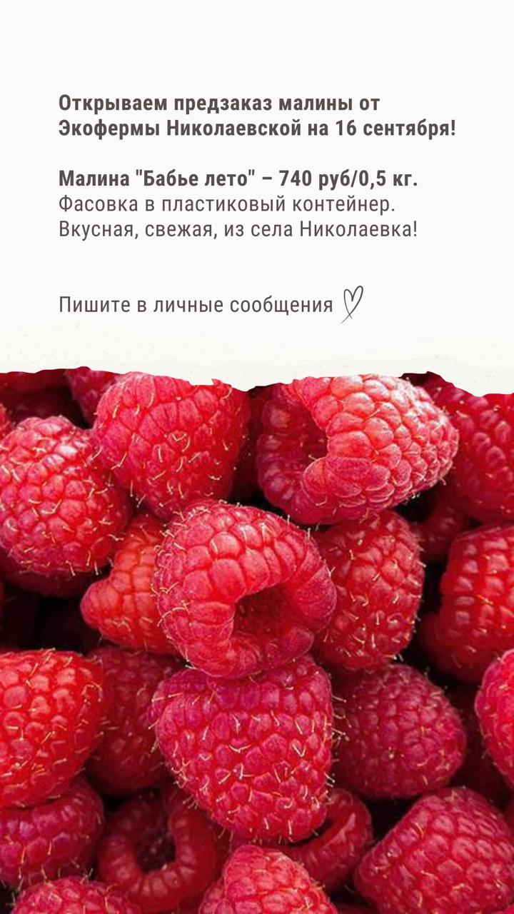 доставка малины из Николаевки